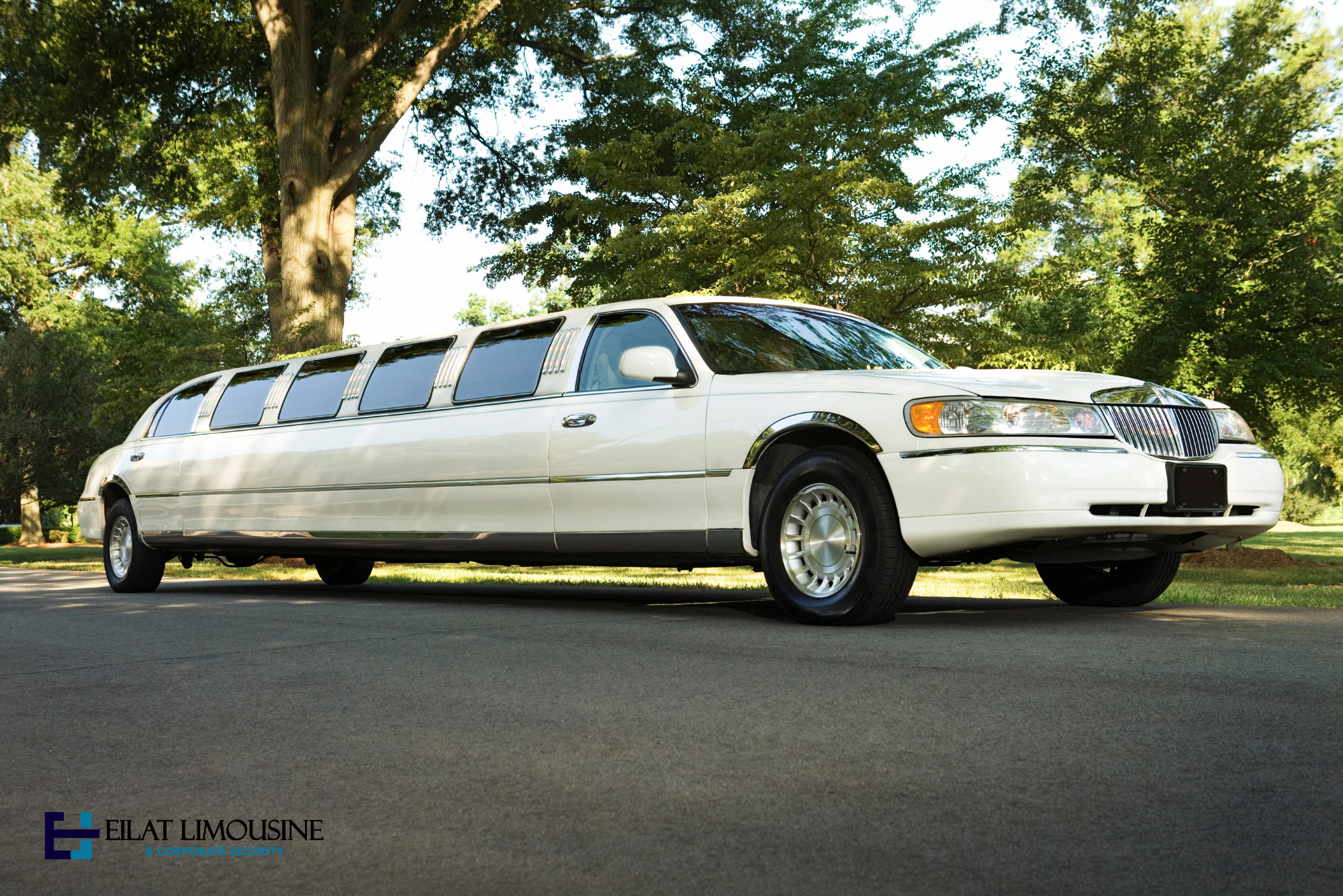 Limousine